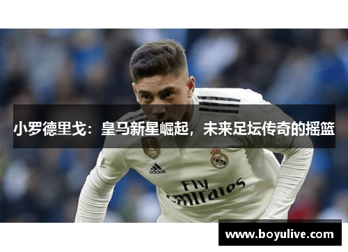 小罗德里戈：皇马新星崛起，未来足坛传奇的摇篮