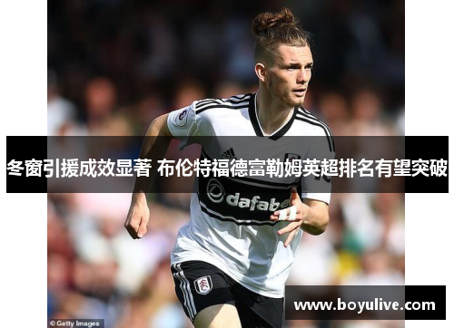 冬窗引援成效显著 布伦特福德富勒姆英超排名有望突破