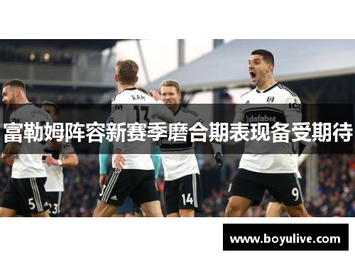 富勒姆阵容新赛季磨合期表现备受期待