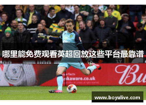 哪里能免费观看英超回放这些平台最靠谱